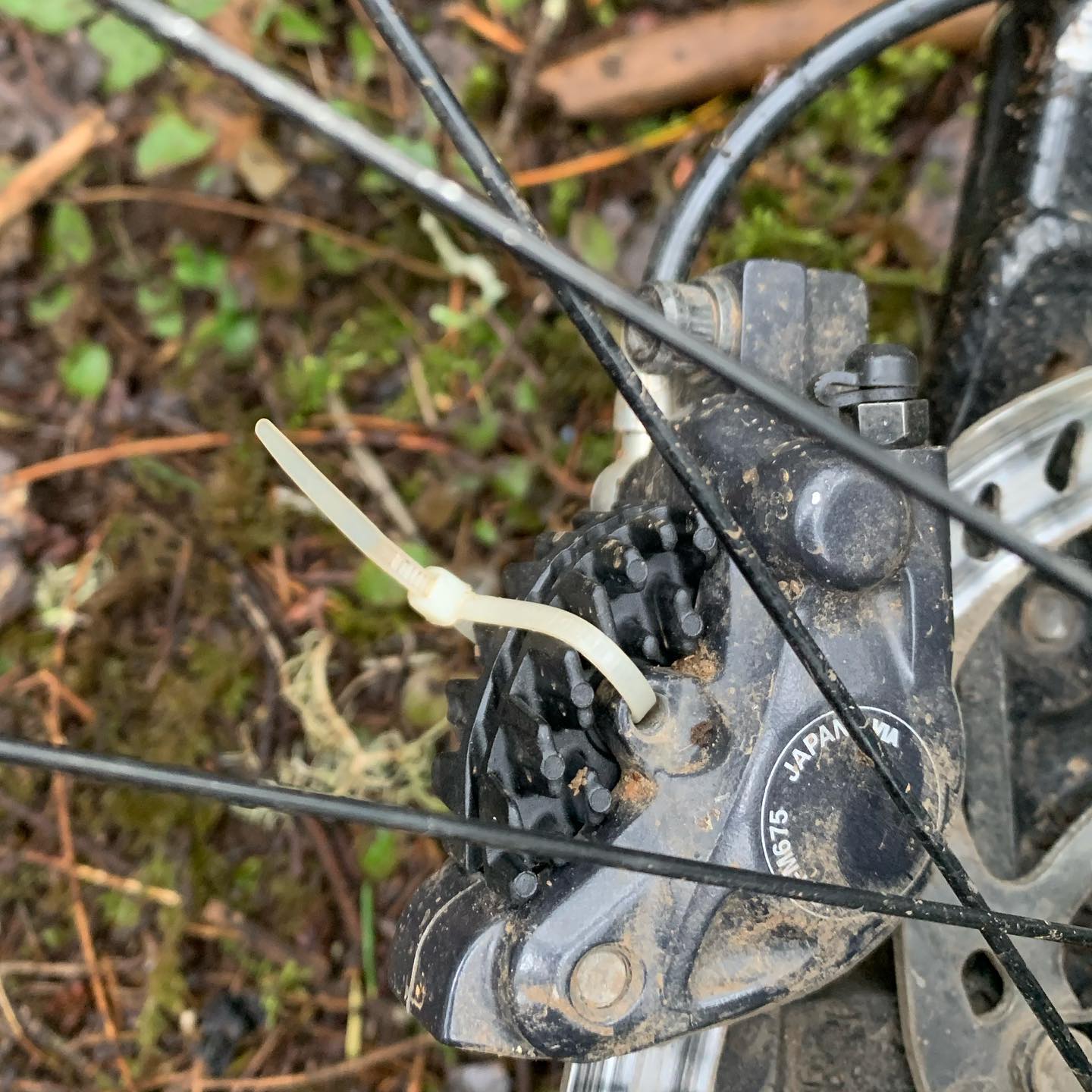 Sigh. My bike hates me. Put on new brake pads yesterday and forgot to properly bend the cotter pin in place. Thankfully I noticed this before I lost a brake pad and did any damage. #mtbvi #yyj #mountainbiking #bikesarefun #yourbikehatesyou #ziptietotherescue #bodgejob