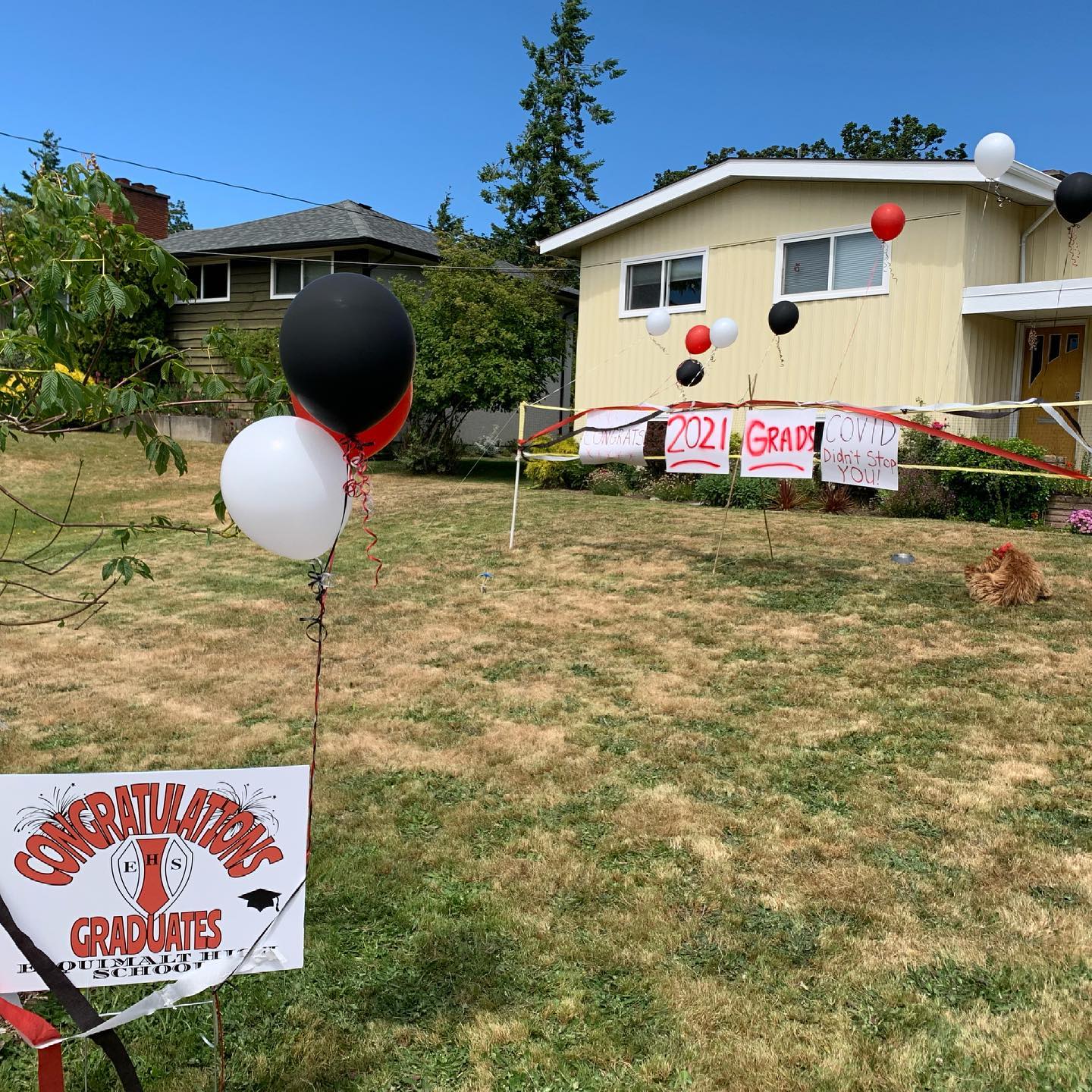 We’re ready for the 2021 Esquimalt High “car rally”. Congrats to all the grads. #esquimalt #grad2021 #esquimaltgrad #esquimaltgraduation