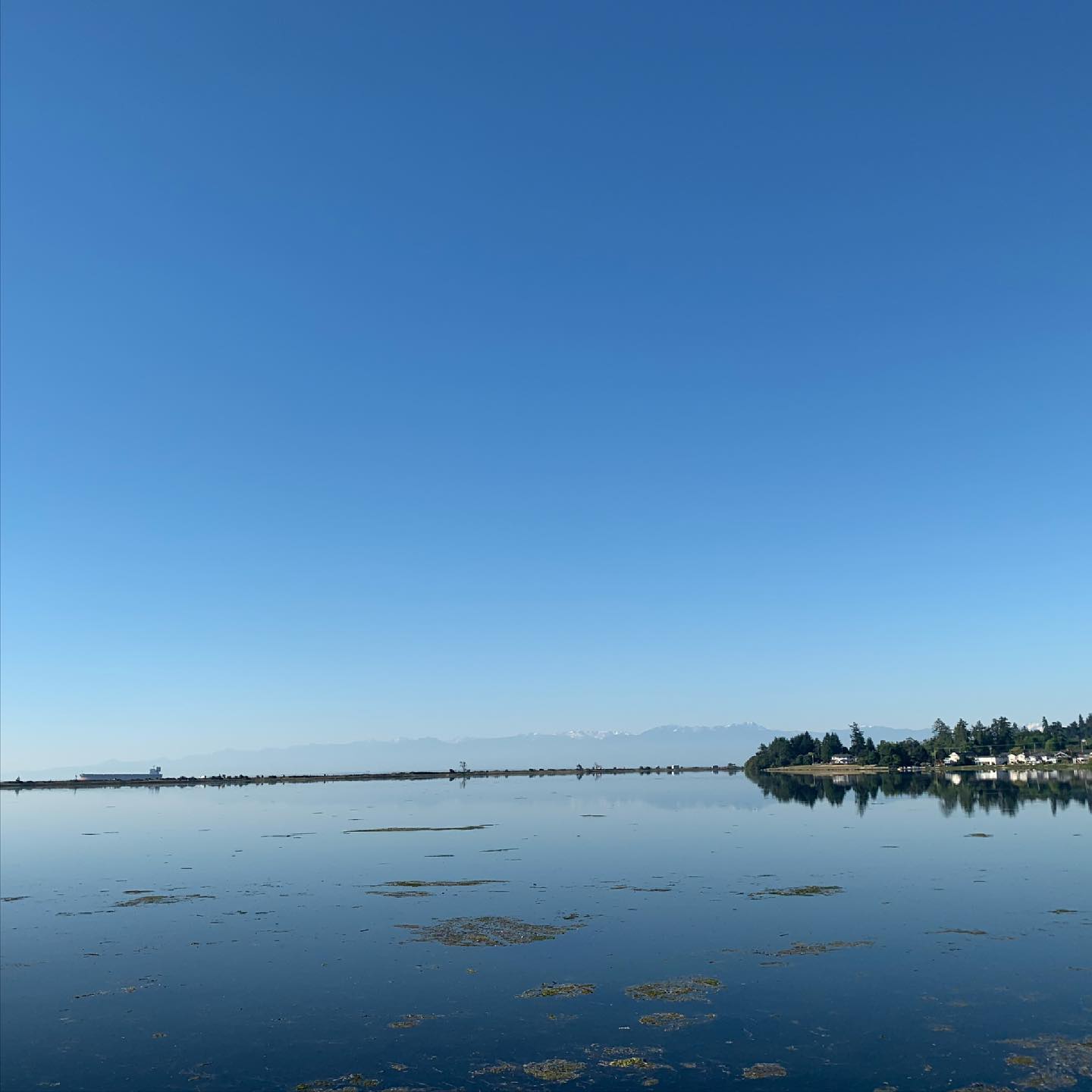 Lovely morning for a ride. Starting early meant I didn’t roast too much, and treated me to some pretty flat water. Now to chill for the rest of the day. #cycling #yyj #bikesarefun #stillhotaf #heatdome