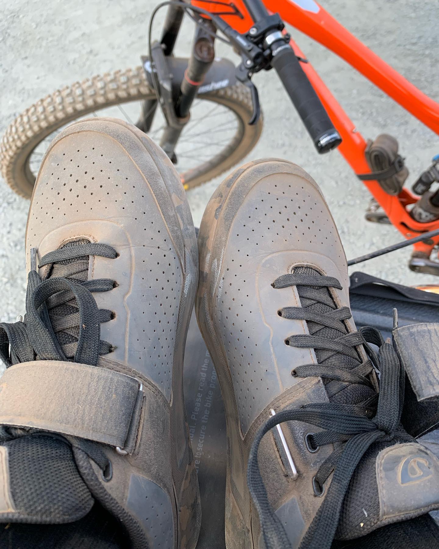 🤔Might need to change my moniker to dusty laces if this keeps up. #mtbvi #yyj #mountainbiking #bikesarefun #dustytrails