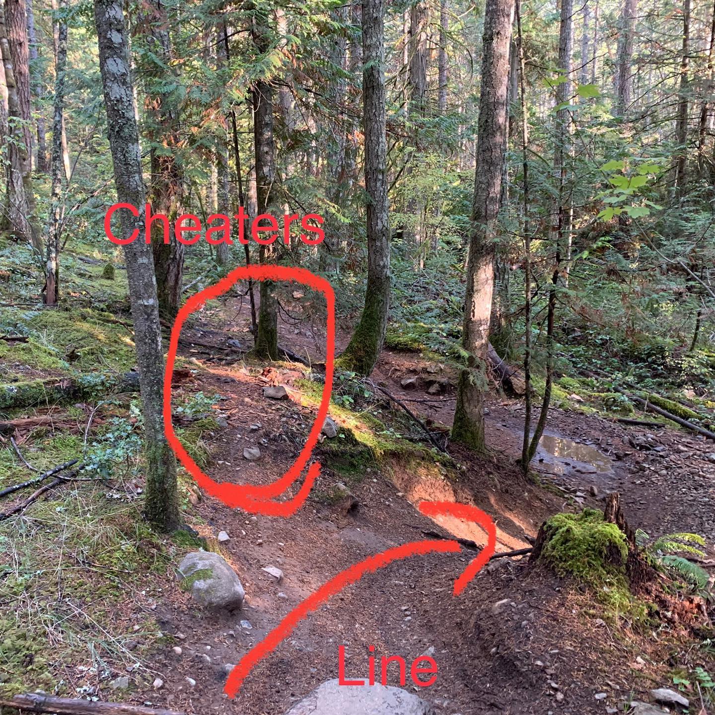 Hey mountain bikers of #heartland aka #thedump. Don’t take or create cheater lines. This little chicane on South Ridge is not hard, and really is fun. The straight line through the undergrowth is straight and lame. Don’t dumb down the trails and don’t create new braids. #mtbvi #yyj #mountainbiking #bikesarefun @southislandmountainbikesociety