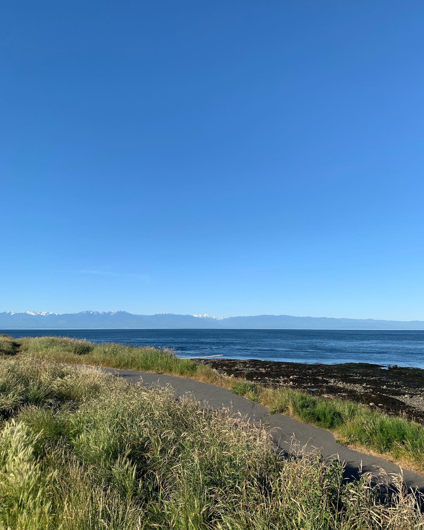 Scenes from todays ride. What a beauty of a day! Warm but not too hot, gorgeous views, mostly empty roads, and a slight breeze that was perfect. #cycling #yyj #bikesarefun